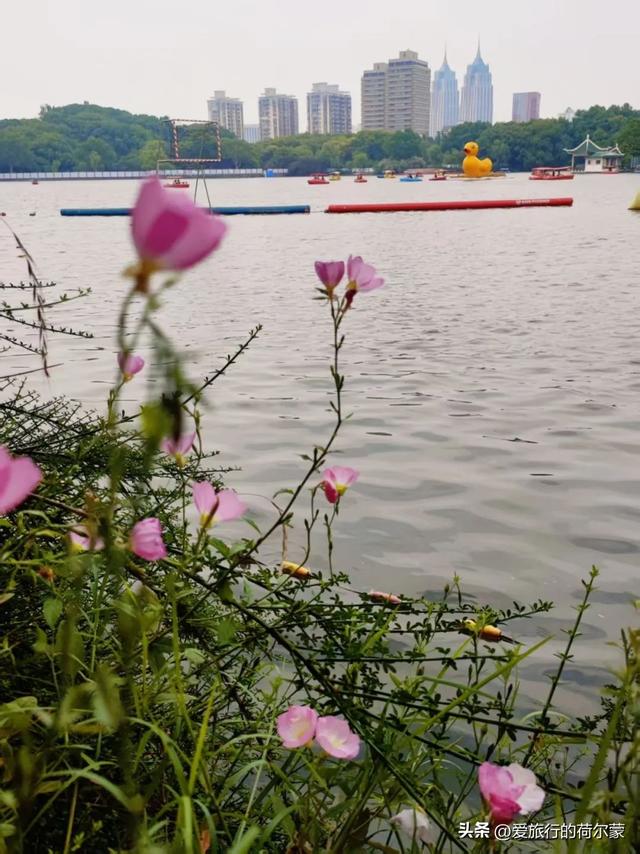 避开人潮！解锁魔都“绿肺”新玩法，长风公园等你来玩！