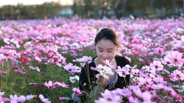 广饶初冬的仪式感来了！