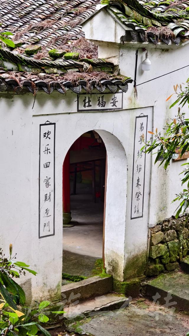 皖浙摩旅二人转——松阳横坑村篇（下）
