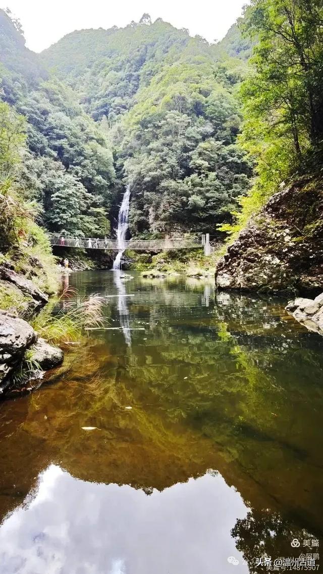 隐藏在温州深山幽谷的绿野仙踪,免费开放,知道的人却极少!