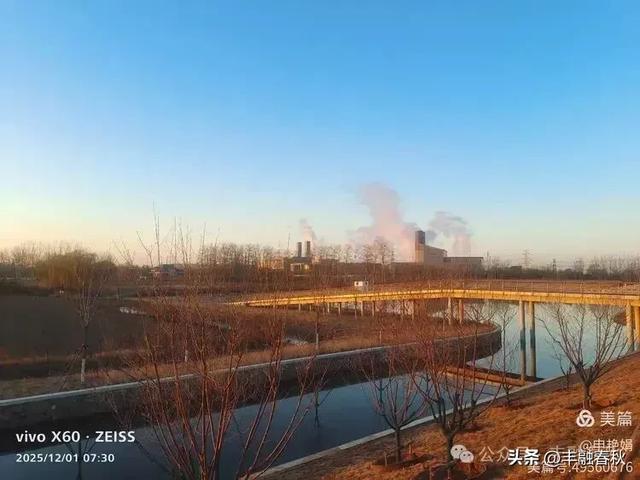 初冬北京朝阳坝河金盏淀：清寒里的静美画卷｜申艳娟