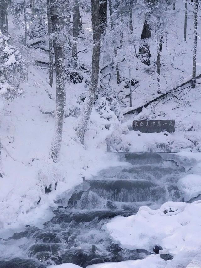勇闯长白山雪谷！这才是冬天最硬核的打开方式