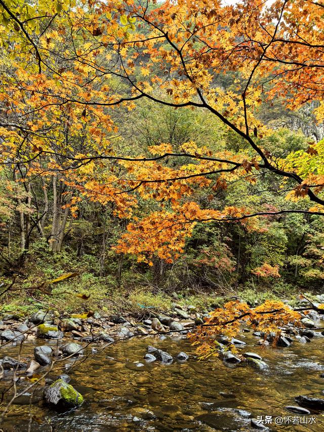 2025辽宁赏秋之旅日记(2)——游览丹东蒲石河森林公园