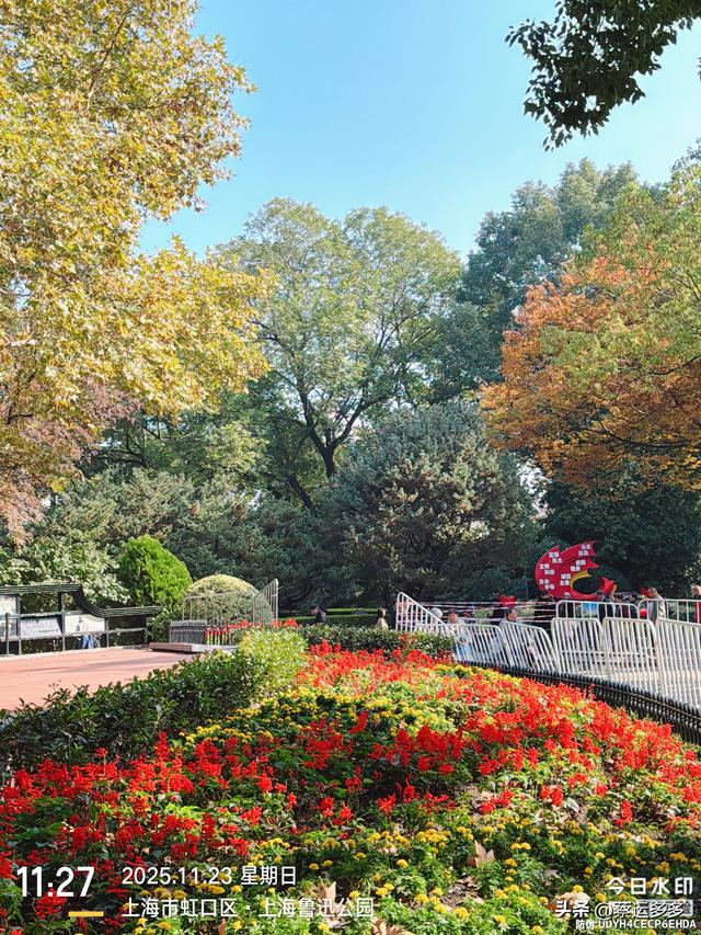 沿着鲁迅的足迹，赏上海秋日美景