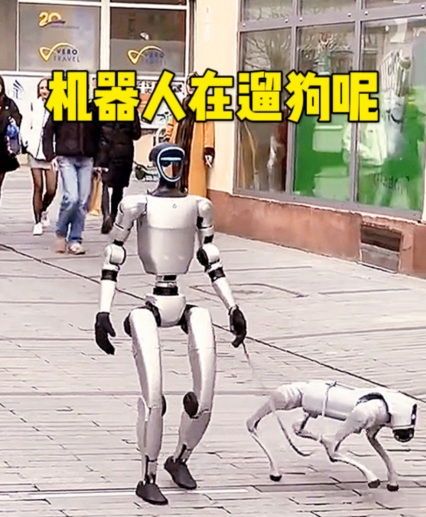 机器人牵机器狗遛弯惊呆路人， 未来智能生活已悄然来到身边