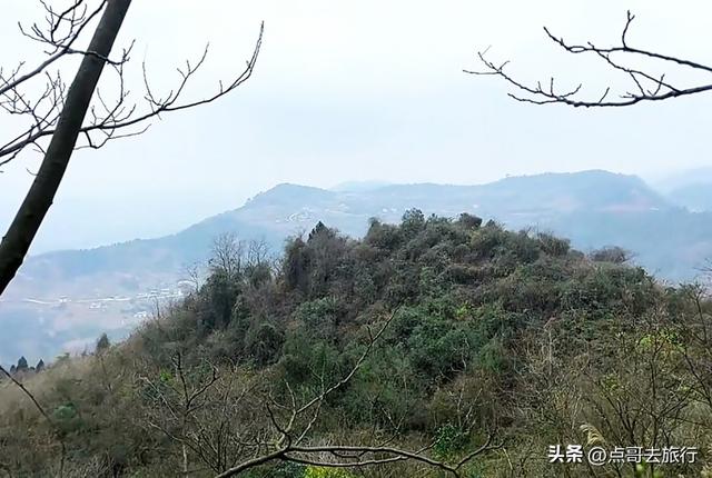 成都龙泉森林徒步路线，被严重低估，不要门票，拍照超级出片！