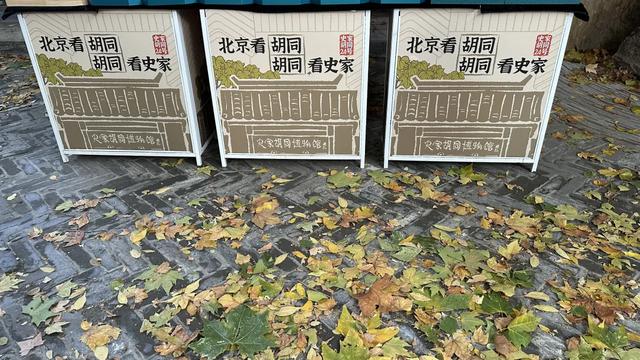 更年期小阿姨的胡同漫游