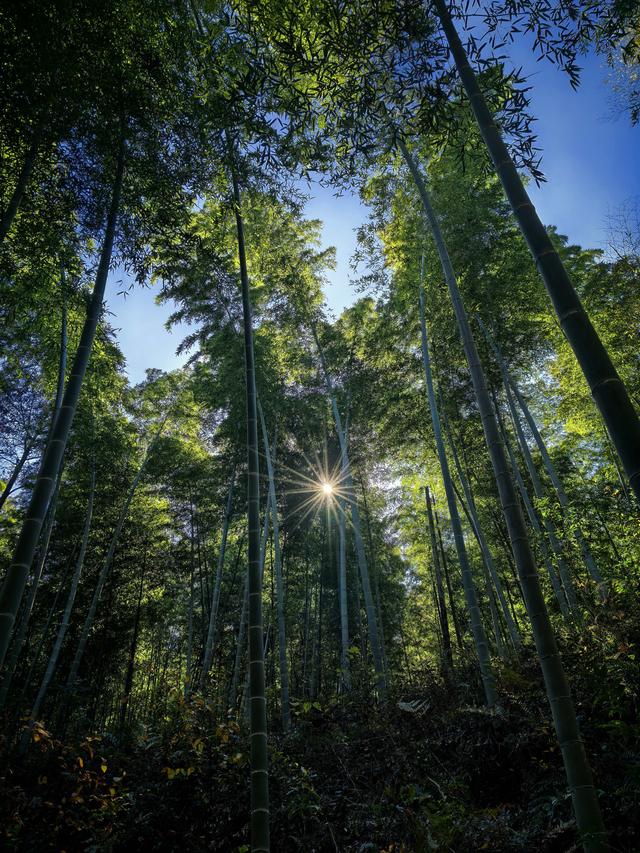 徒步八都岕黄金大道