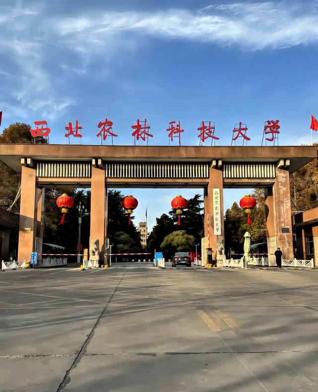 西北五省985大学的王牌专业你知道几个