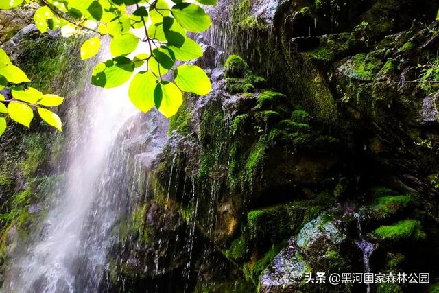 西安周边 | 这个秋天不可错过的宝藏旅行地！