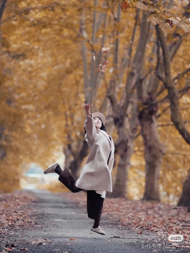 黄了！彩了！1h刹拢成都最近赏秋地，徒步拿奖牌、邂逅古寺银杏！老街美食好吃惨！