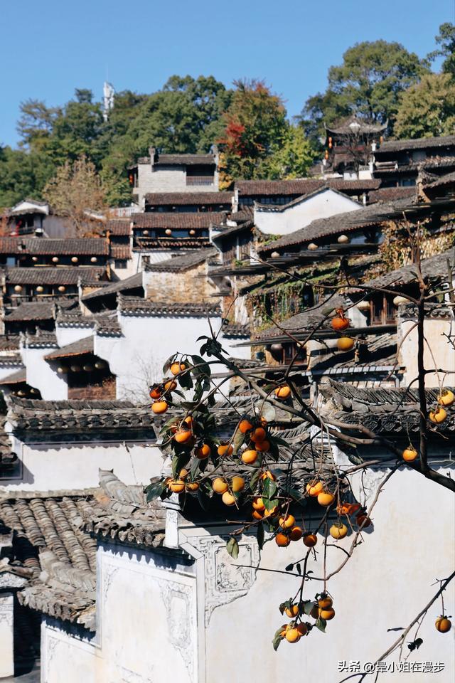 秋色浓、叠彩韵、檐下晒秋图，这可能是国内最美的秋天