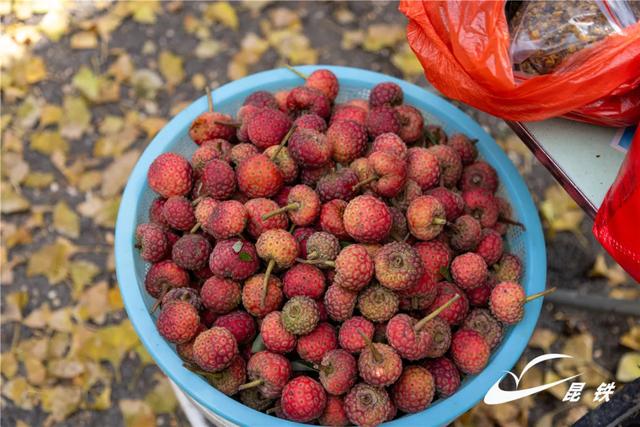 金叶映古驿!妥乐千年诗意,此刻正当赴