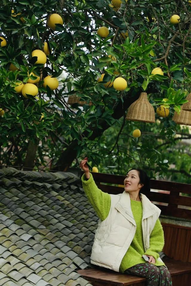 来约！新津有个许愿小院！