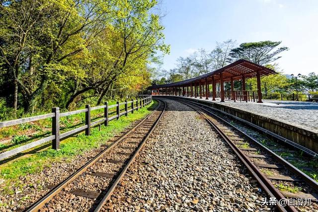 阿里山百年蒸汽桧木火车， 季节限定赏枫列车、票价信息一次看！