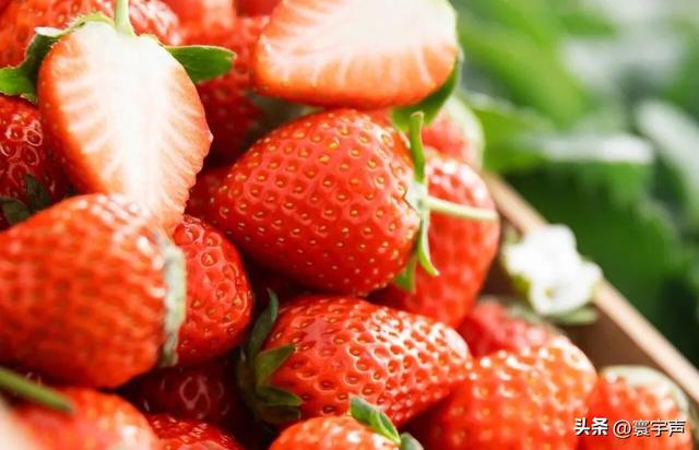 一颗草莓搅动千亿市场！奈雪销量暴涨410%，行业竞争玩出新花样
