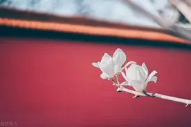 老祖宗留下的10句金玉良言，绝对精辟，许多人后悔太迟看到！图片