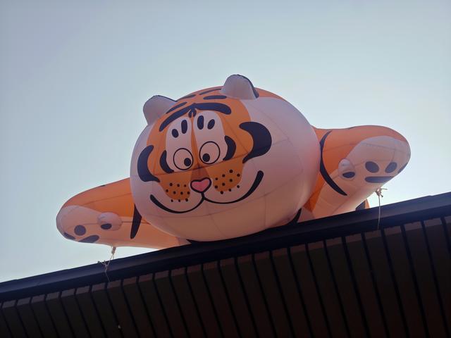 西丽湖绿道骑行随拍