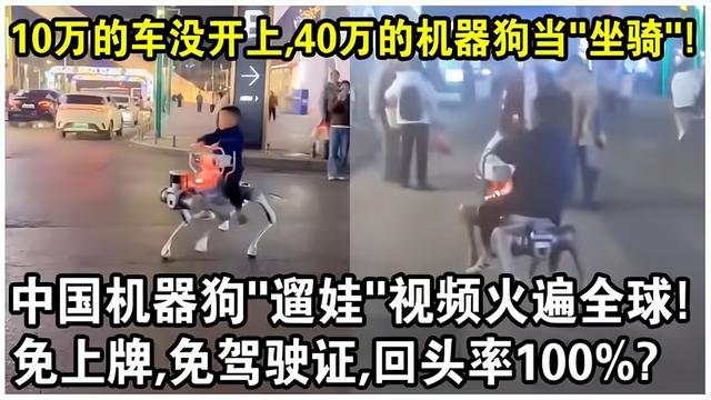 万元机器狗预售倒计时！能遛娃	、取快递的家庭机器人时代真来了？