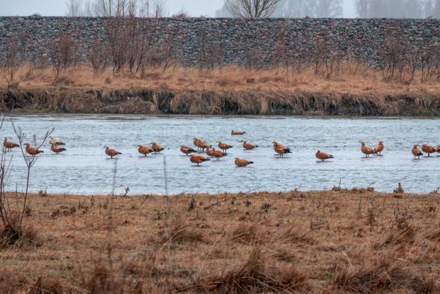 大漠之水：在武威，追寻一条河流的生死突围
