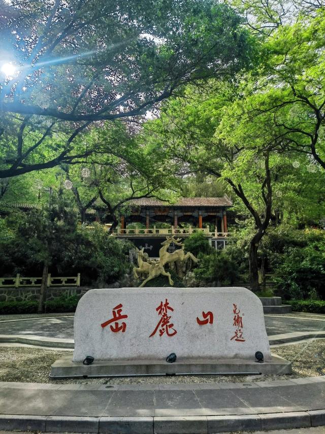 去了趟湖南长沙，真心建议：别随便去长沙，除非你摸清这些门道