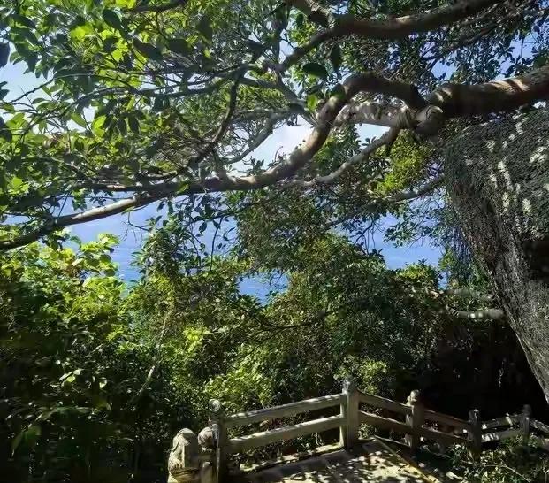 带着孙女去旅行(151)陵水分界洲岛游