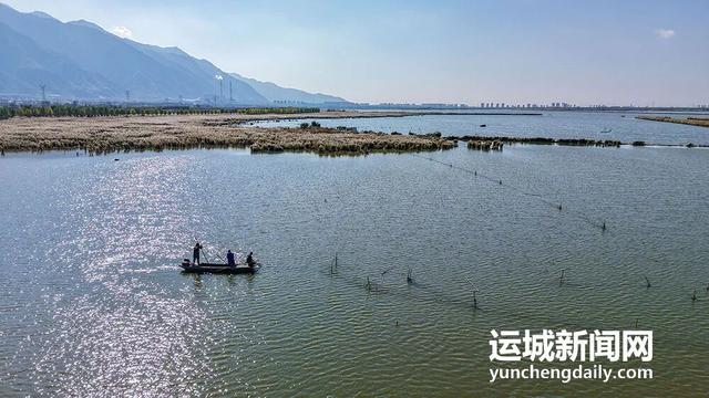 来，到运城“小橘子洲头”走走！
