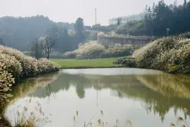 春运即将开启 美团旅行：重庆位居机票预订TOP10目的地图片