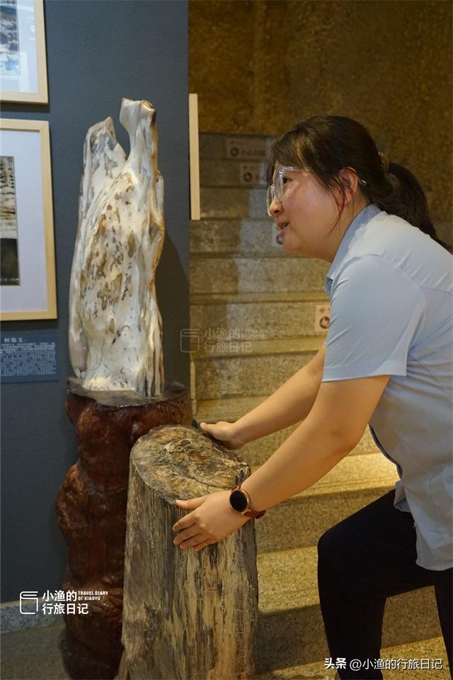 陕西黄河边有座石头博物馆，门口看着不起眼，里面藏着“大宝藏”