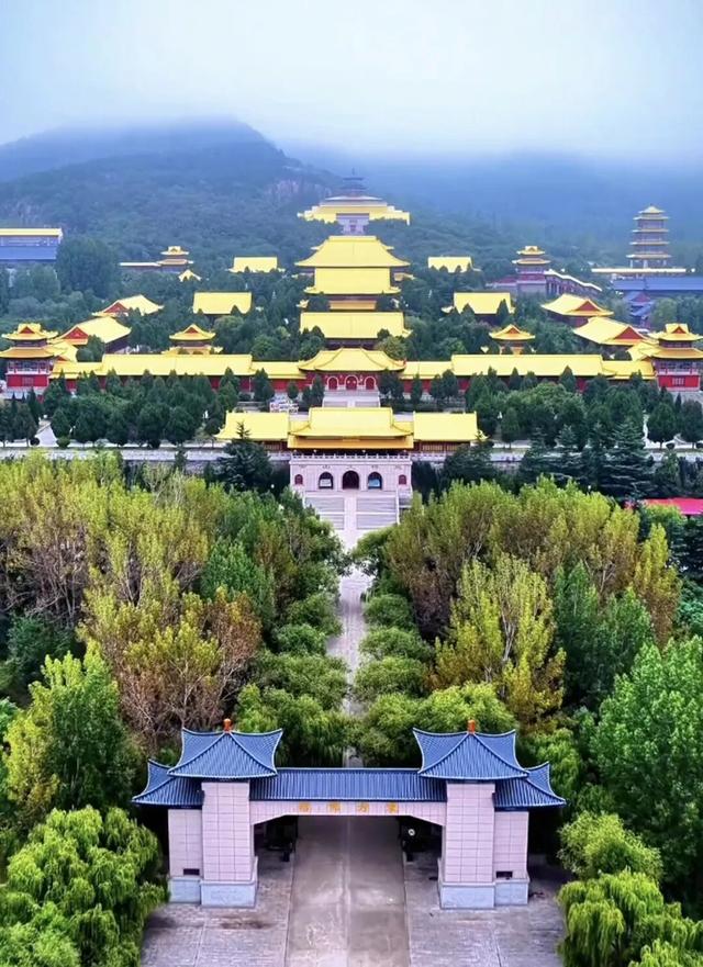 奔“县”潍坊！“龙”游诸城，诸事皆成！