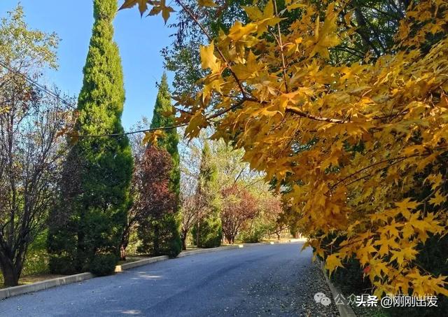 大连城山，挑战台阶之最，金龙寺森林公园风景太美了