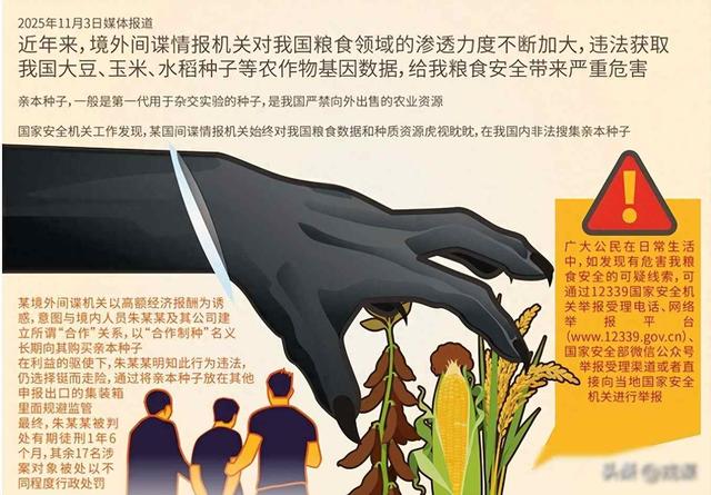 千万别大意！稻田里藏境外间谍，偷几粒种子竟能端14亿人饭碗？