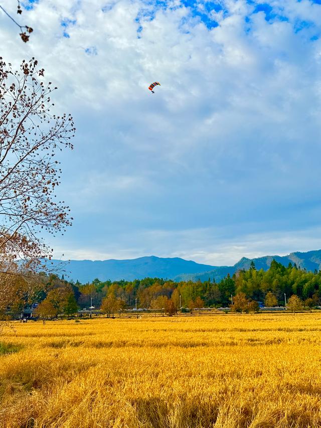 追着晚秋(黟县宏村镇塔川村)