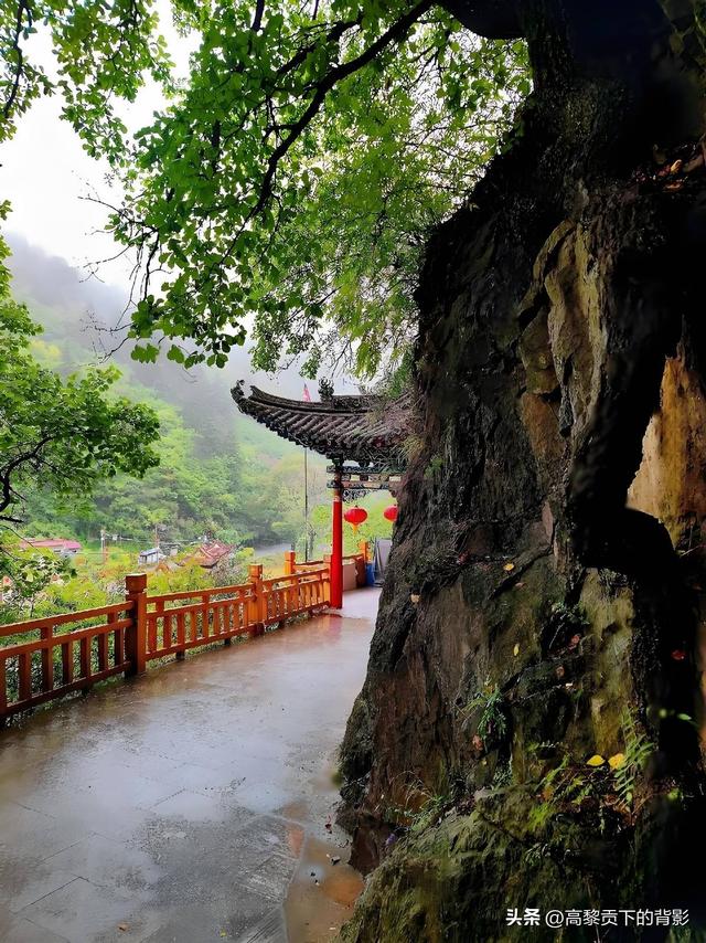 寻幽兴隆山：陇右第一名山的秋日私语