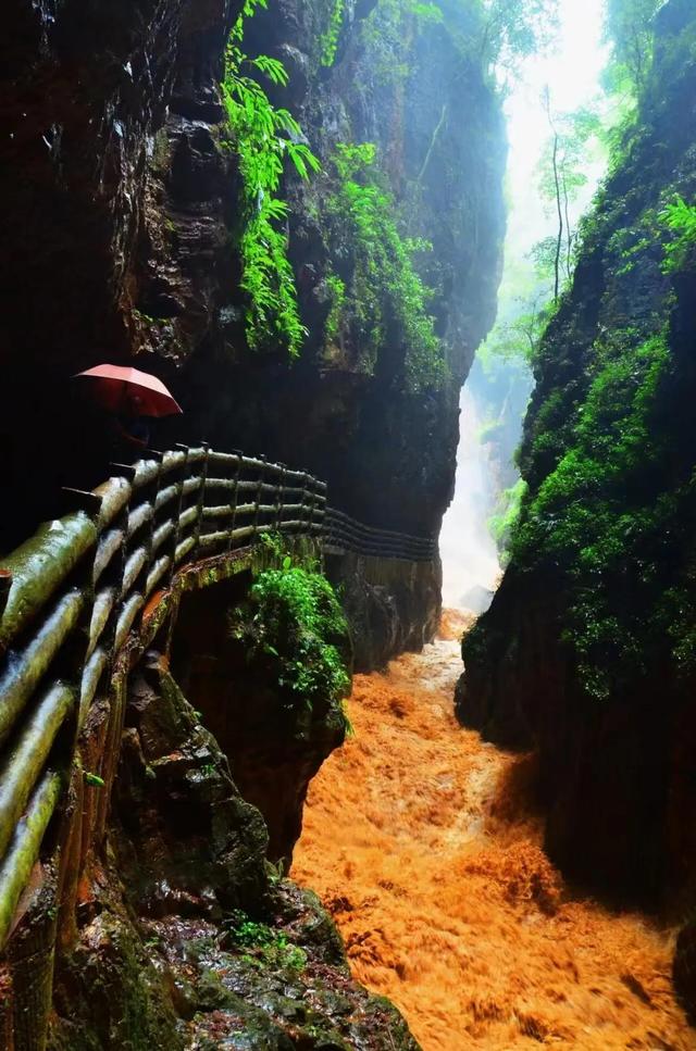 明确了！这些景区对全国公安民警免票！