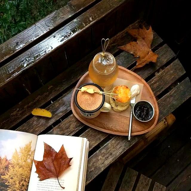 属于女诸葛，智慧无敌的四个星座，聪明且能力强