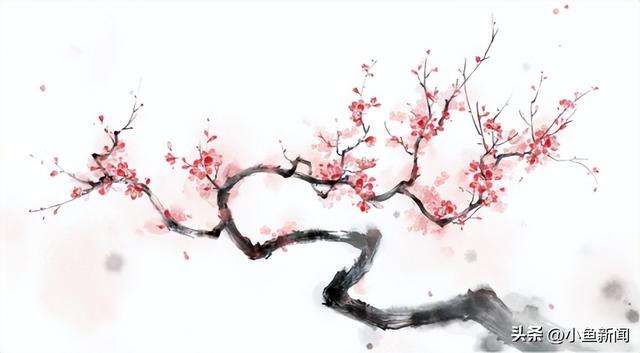 官宣！苏州梅花市集