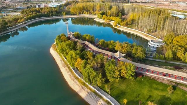 【节气里的大美中国】今日秋分：一叶梧桐落，天下尽知秋