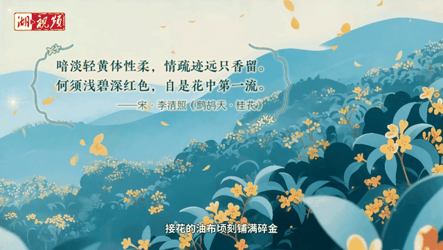 文化中国行丨桂桂“香”遇记：从千年桂乡到万家舌尖