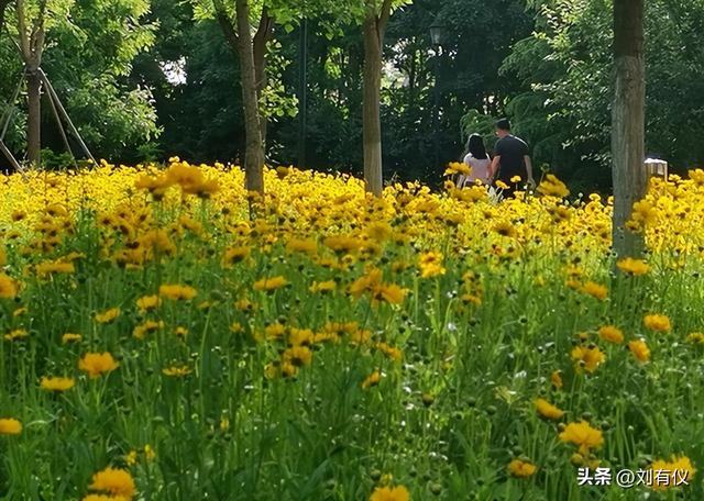 不管你信不信，过了50岁旅游的心气就淡了，就算出门也少了激情