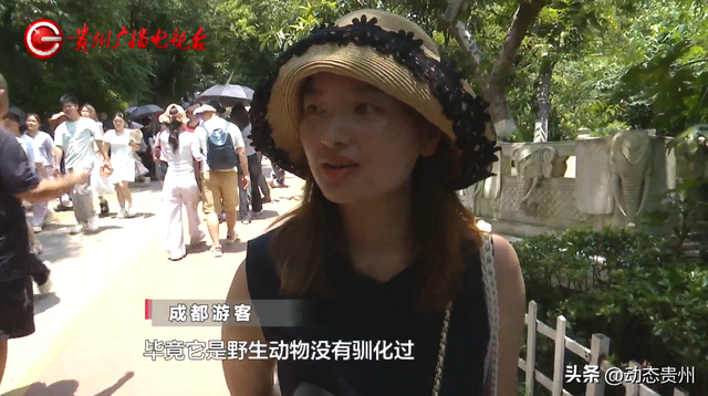 “你打猴我就打你”环卫工驱猴被游客怒斥，黔灵山公园工作人员