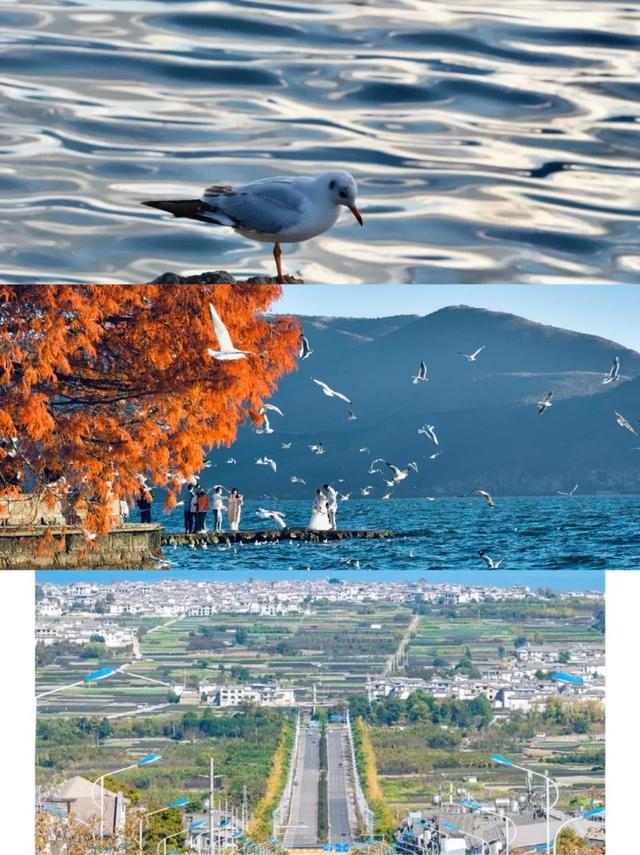 大理秋日浪漫启幕｜风花雪月的治愈之旅