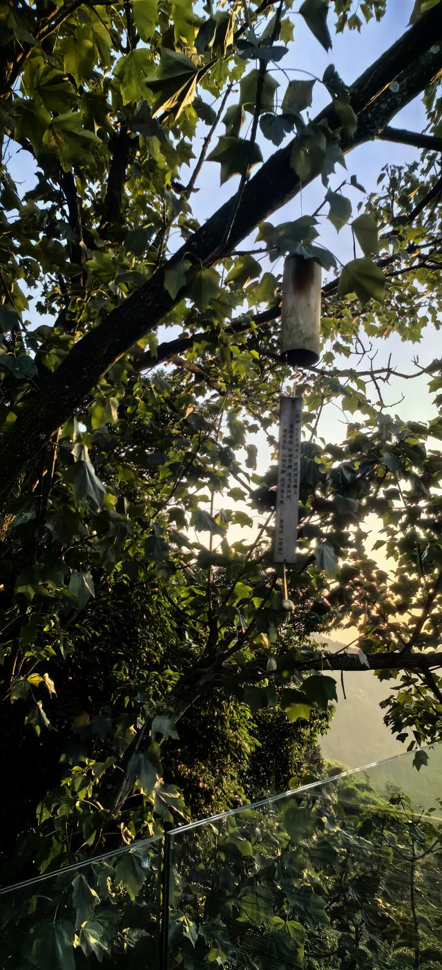 花楸山冬季物语