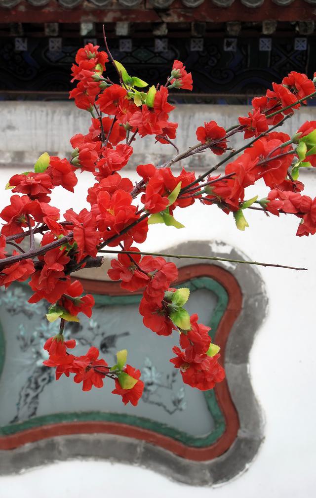 北京大观园“梅花”提早绽放 古风新春景致惊艳亮相