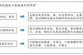 铜代谢与口腔疾病的诊断及治疗图片