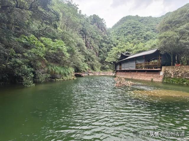 温州这个以畲族始祖命名的4A级景区，秘藏着一座“生物王国”！