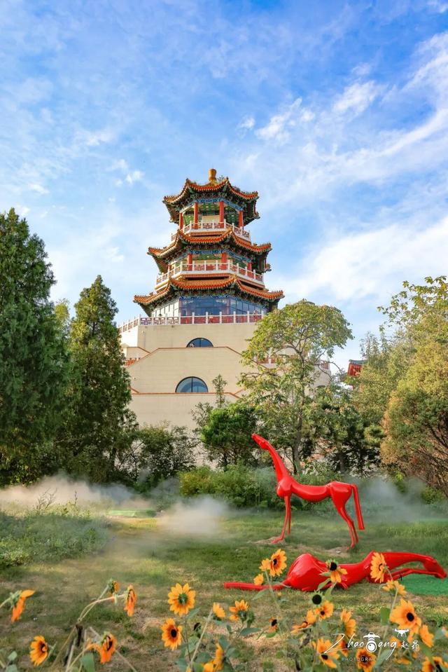 拍它，出片儿！站在它旁边拍，也出片儿！