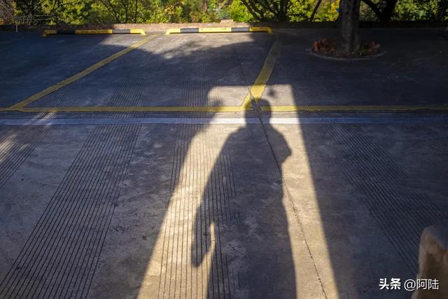 探秘云南省常住出家众最多的净土女众道场，在塔顶还偶遇主持诵经