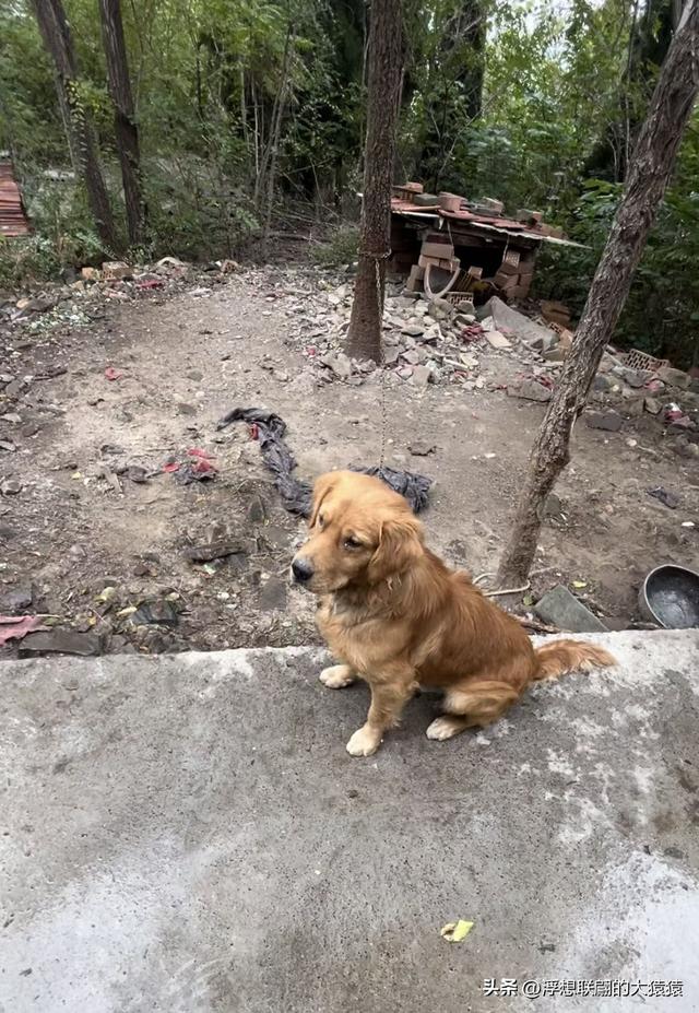 邹平临池镇桥子村里的柱似山，其顶之庙群始建于明代