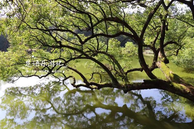 浙江宁波的幽静山村，因美女下凡洗澡而得名，湖光山色美不胜收
